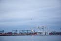  0296_MG_1175